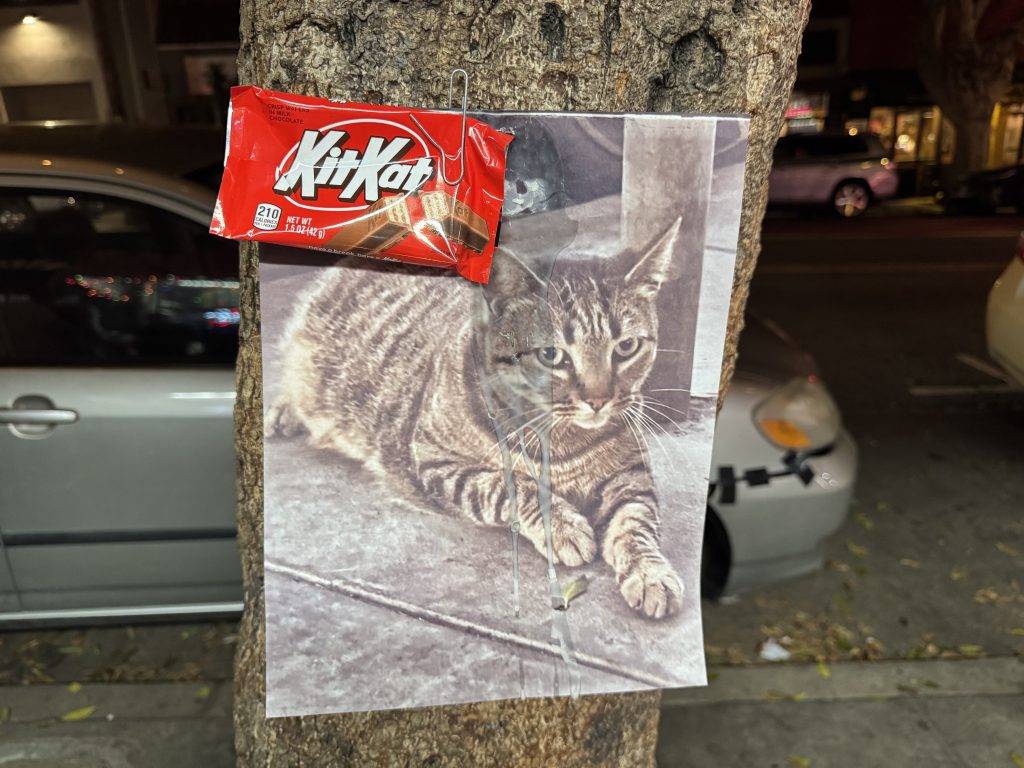 KitKat news
